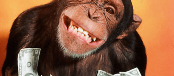 chimp with dollar bills